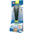 TETRA PIANTA HAIRGRASS (ALTEZZA 24 CM) (FA)